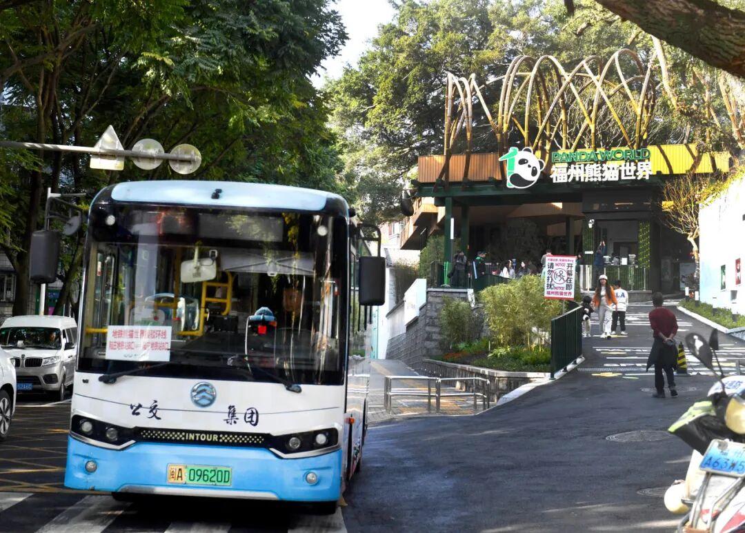 1元！萌系公交正式上线！直达福州熊猫世界！