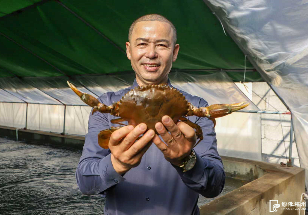 丫霸！连江年鱼、年花、年果上市！