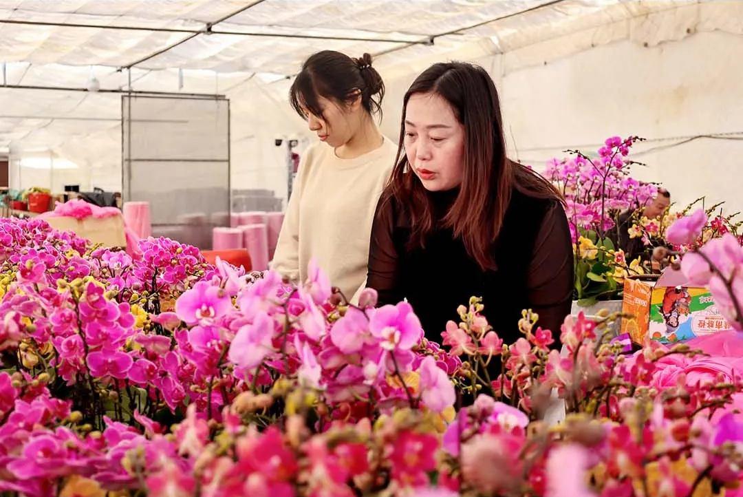 丫霸！连江年鱼、年花、年果上市！