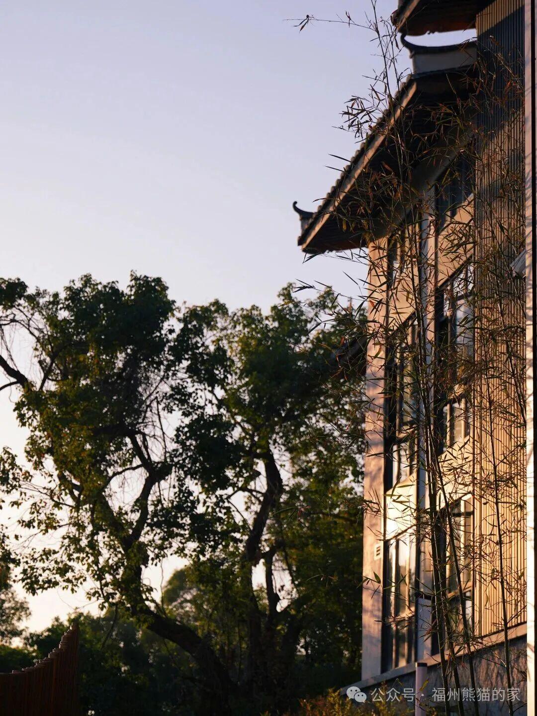 福州熊猫世界关于无人机禁飞的温馨提示