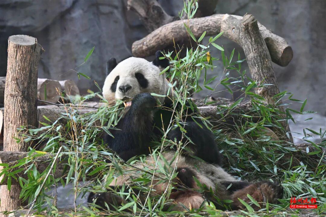 回忆杀！福州90后翻出老照片，不少人激动了！