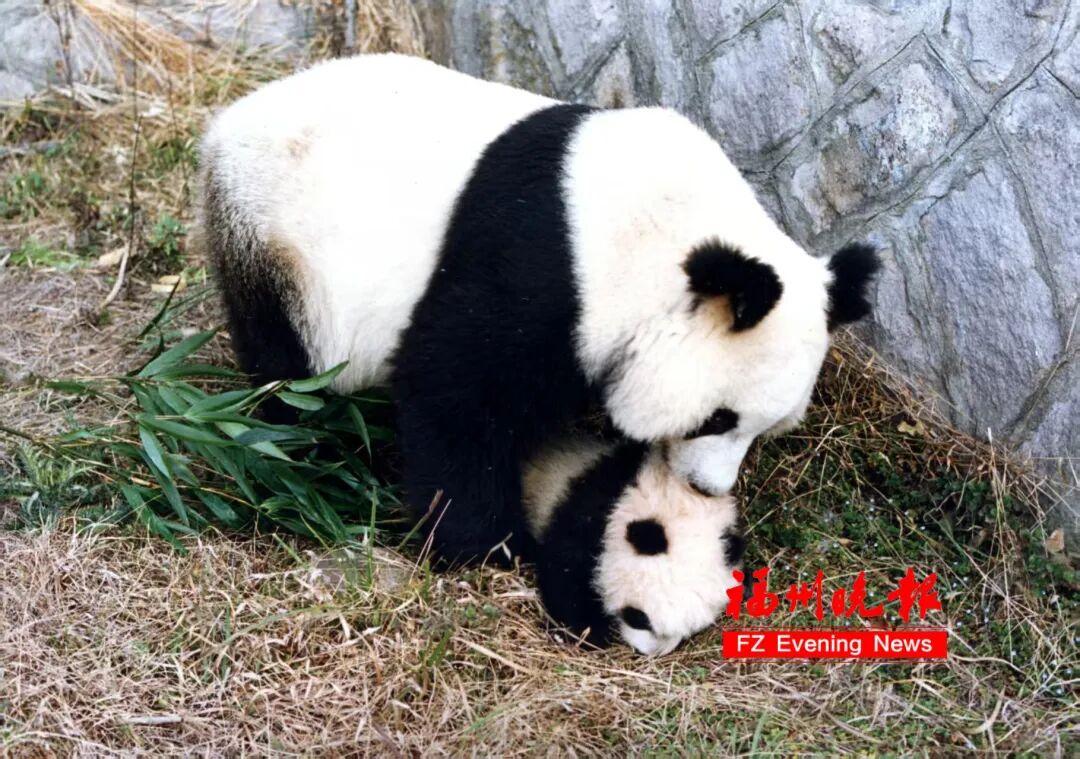 回忆杀！福州90后翻出老照片，不少人激动了！