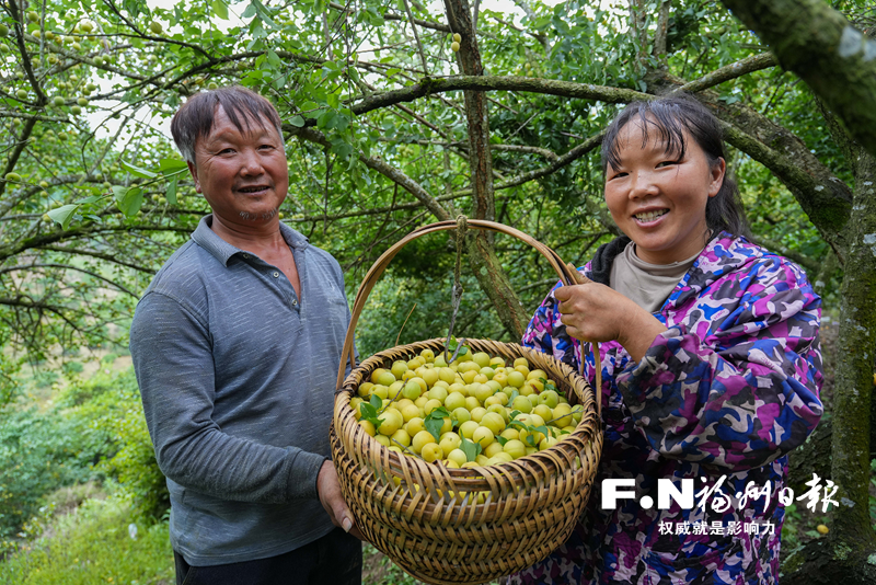 政协委员为乡村发展献策：推进乡村全面振兴 让幸福可见可感