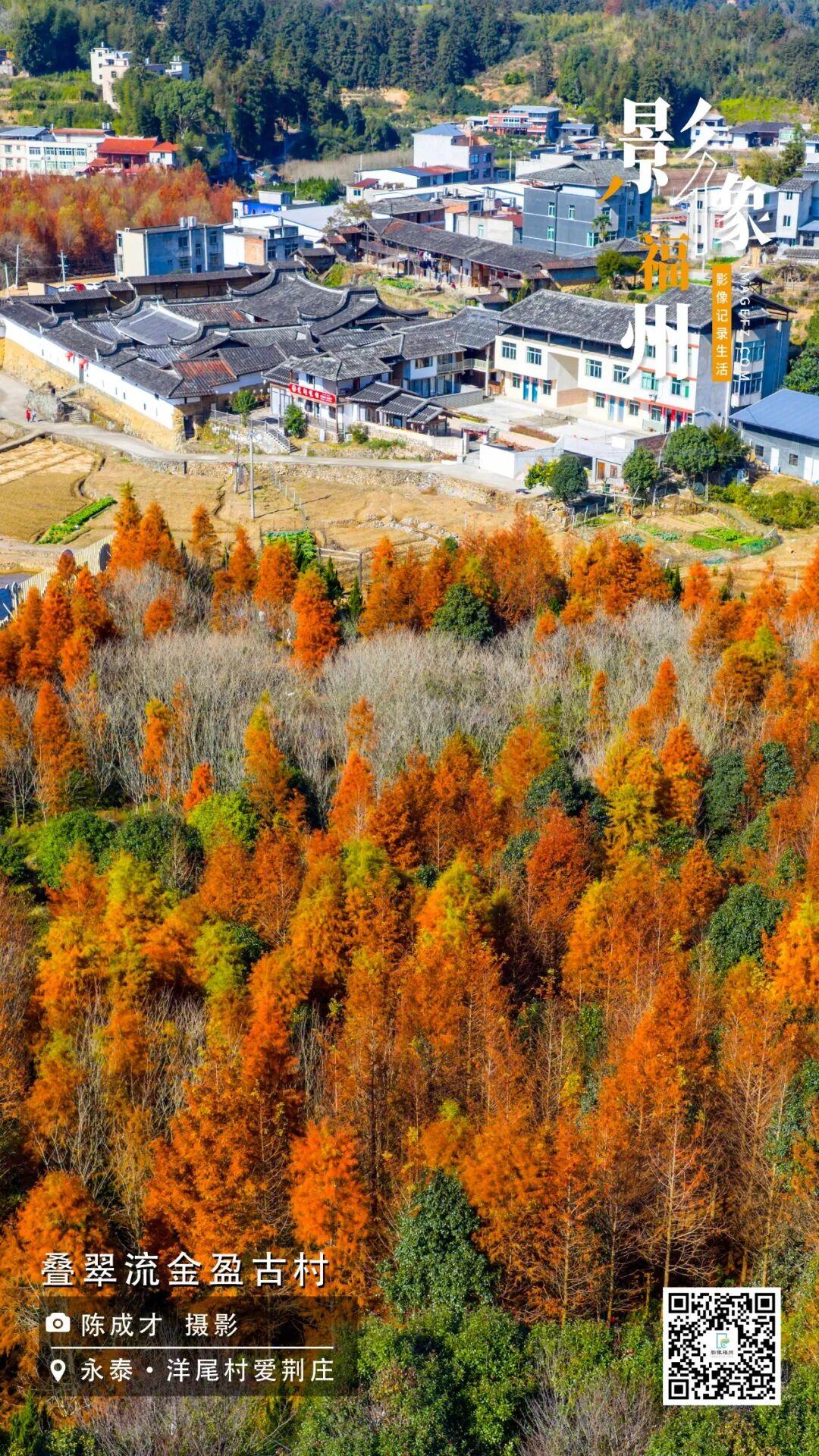 影像福州丨叠翠流金盈古村