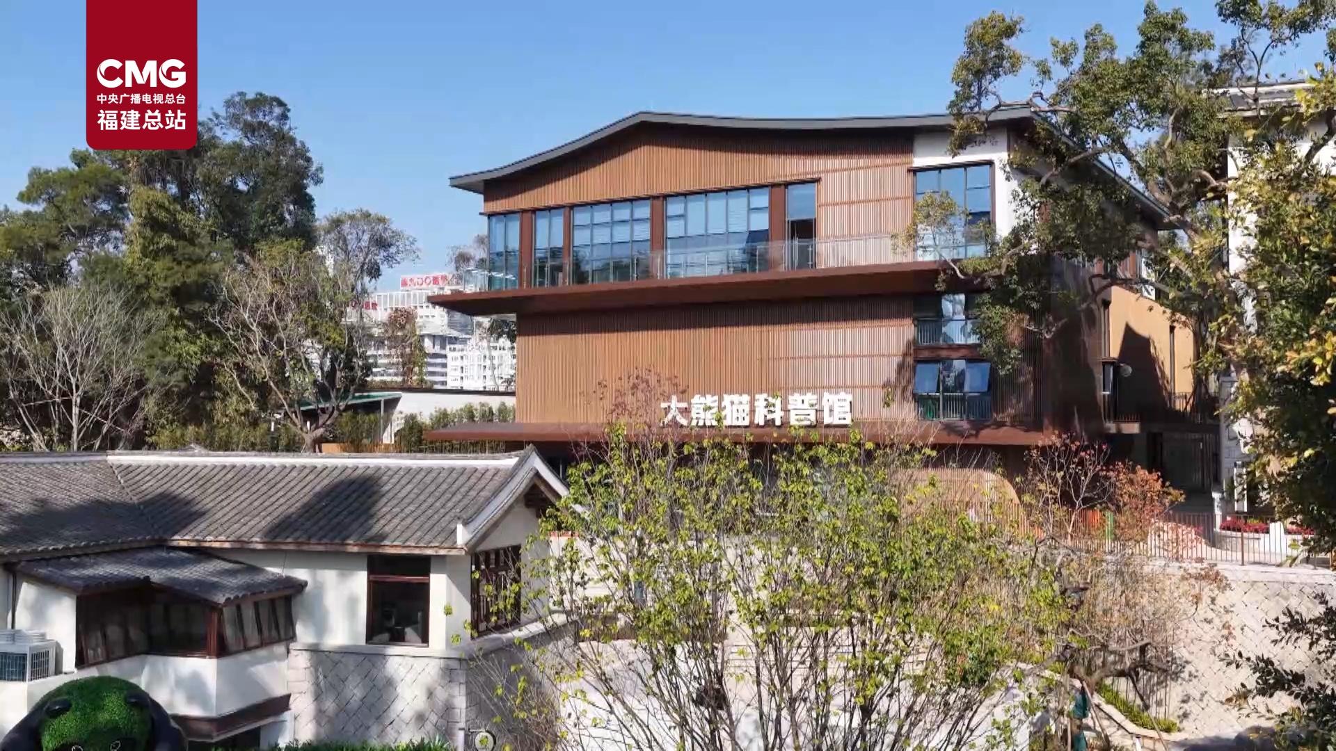总台记者探馆福州熊猫世界：潮流新体验 城市新空间