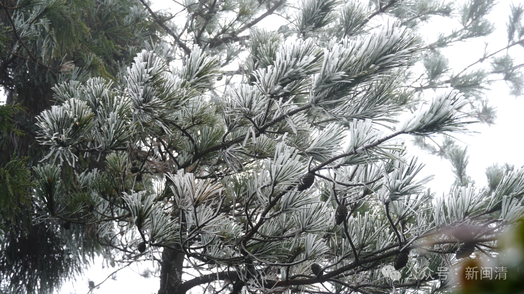 气温过山车！福建明天最低-4℃，周末直冲20℃