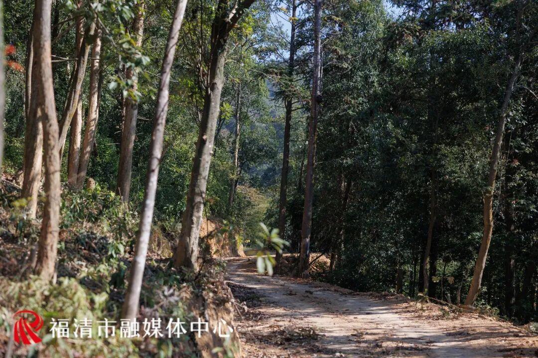 全长约10公里！福清又多一条游玩路线！