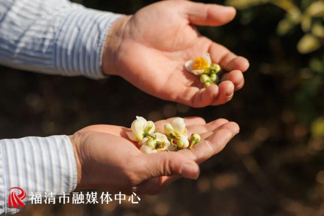 全长约10公里！福清又多一条游玩路线！