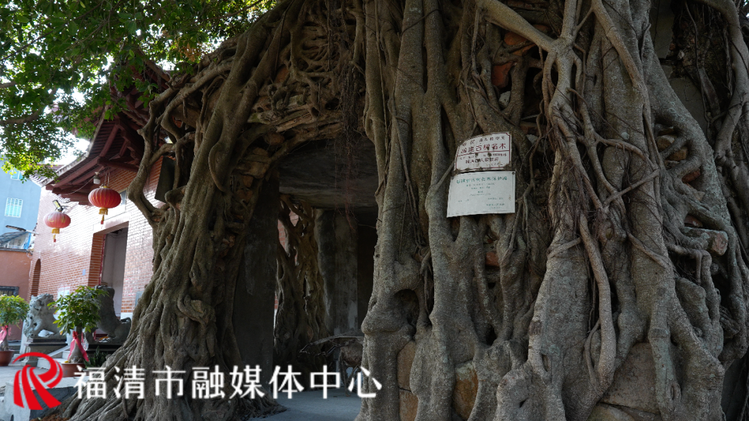 全长约10公里！福清又多一条游玩路线！