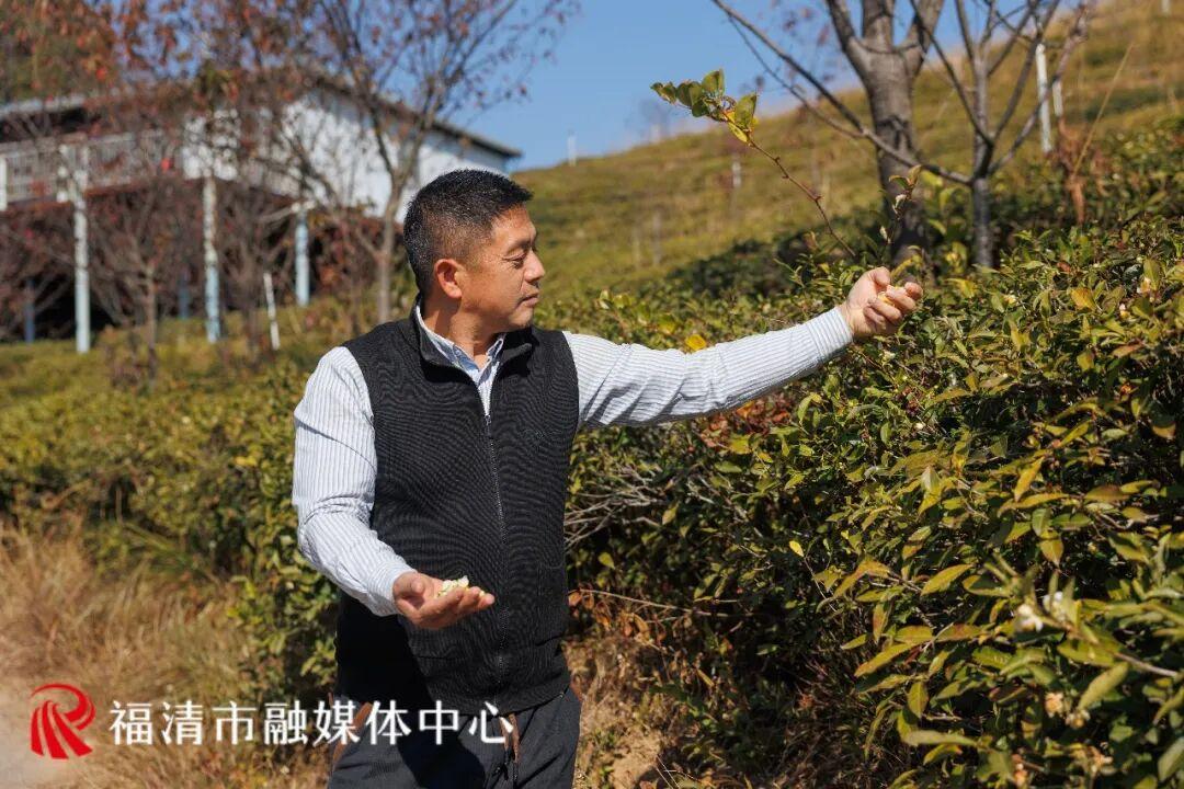 全长约10公里！福清又多一条游玩路线！