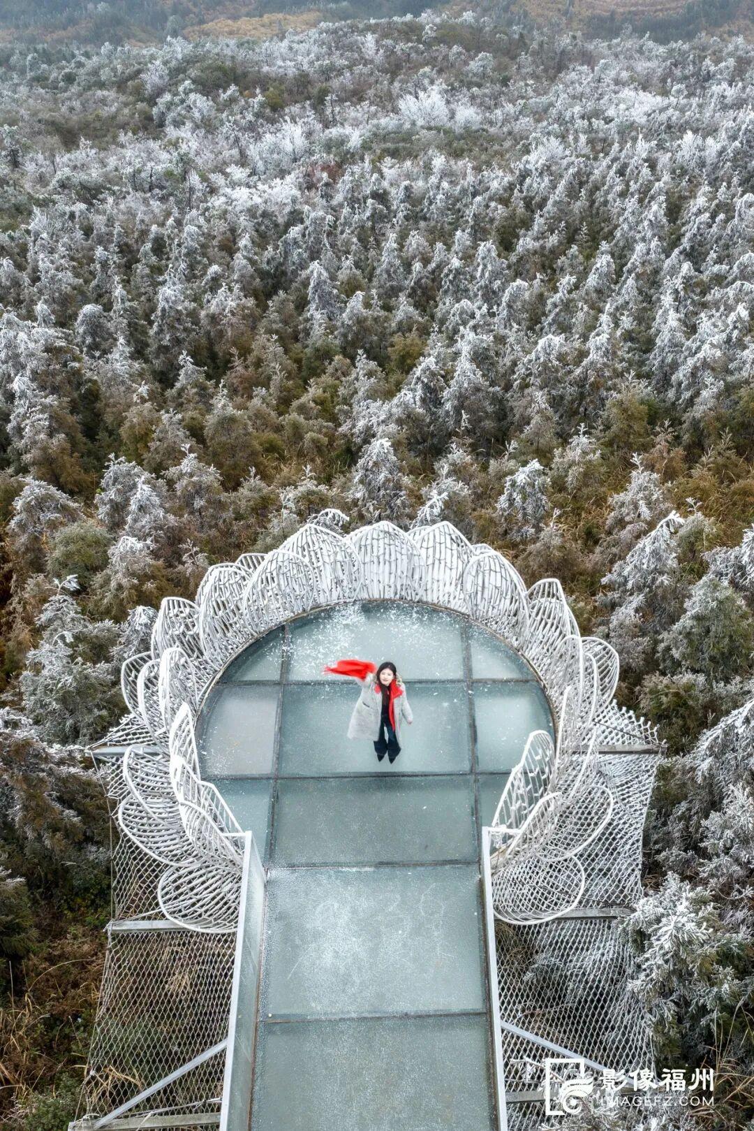 冬日仙境！福州迎来雾凇景观！