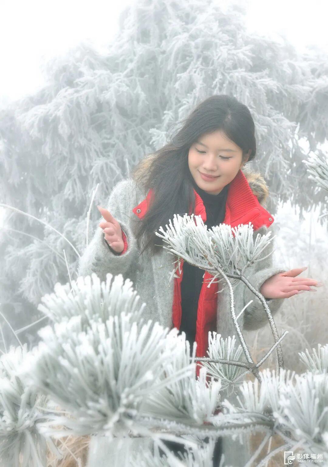 冬日仙境！福州迎来雾凇景观！