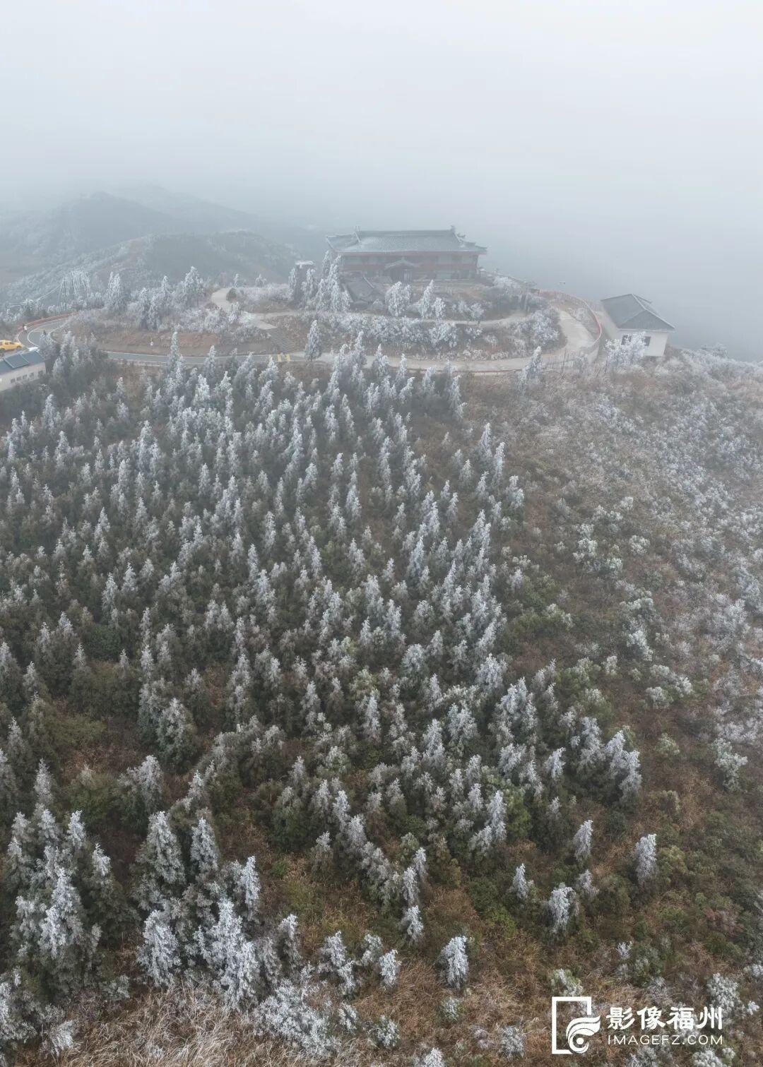 冬日仙境！福州迎来雾凇景观！