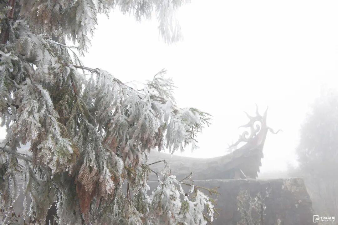 冬日仙境！福州迎来雾凇景观！