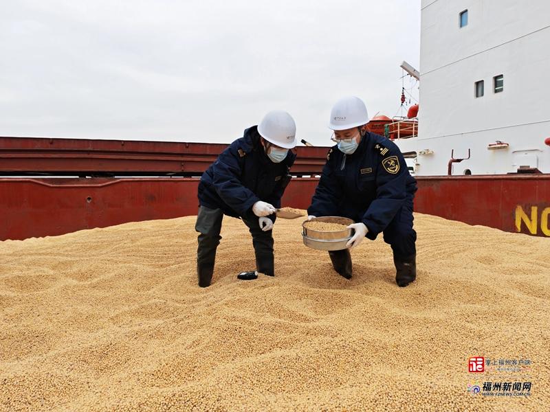 福州港今年首批进口粮食到港