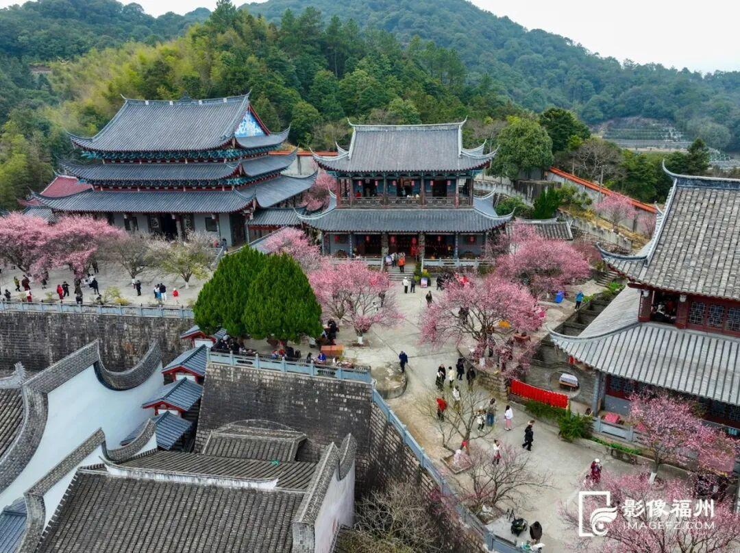 冬日顶流！福州这里的“梅”景如期而至！