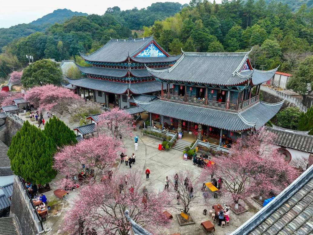 冬日顶流！福州这里的“梅”景如期而至！