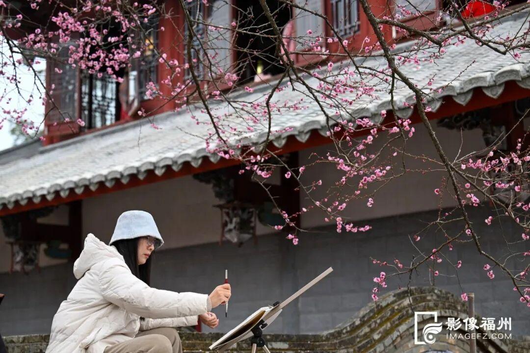 冬日顶流！福州这里的“梅”景如期而至！