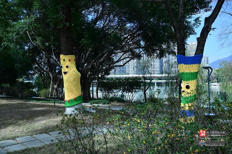 萌萌的！琴亭湖香樟穿上新年“毛衣”啦！