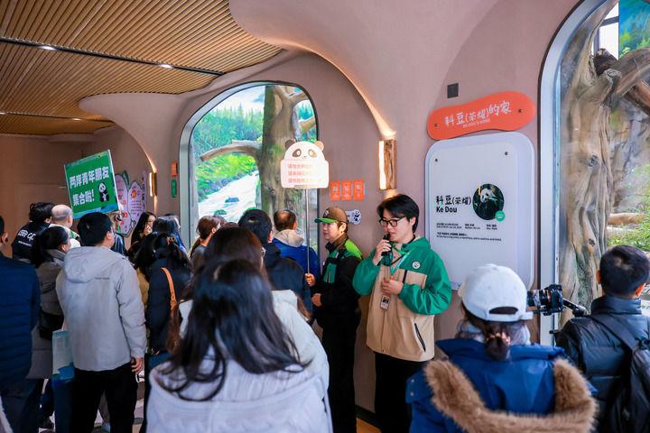 台湾青年探访福州熊猫世界 聆听两岸交流故事