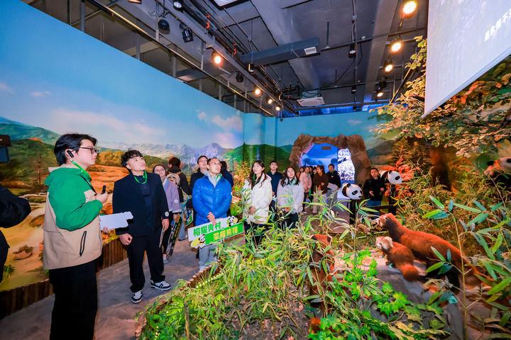 台湾青年探访福州熊猫世界 聆听两岸交流故事