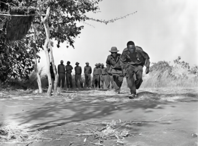 走过峥嵘岁月 共赴现代化新征程——习近平主席复信津巴布韦老战士寄语中非友好续写新篇