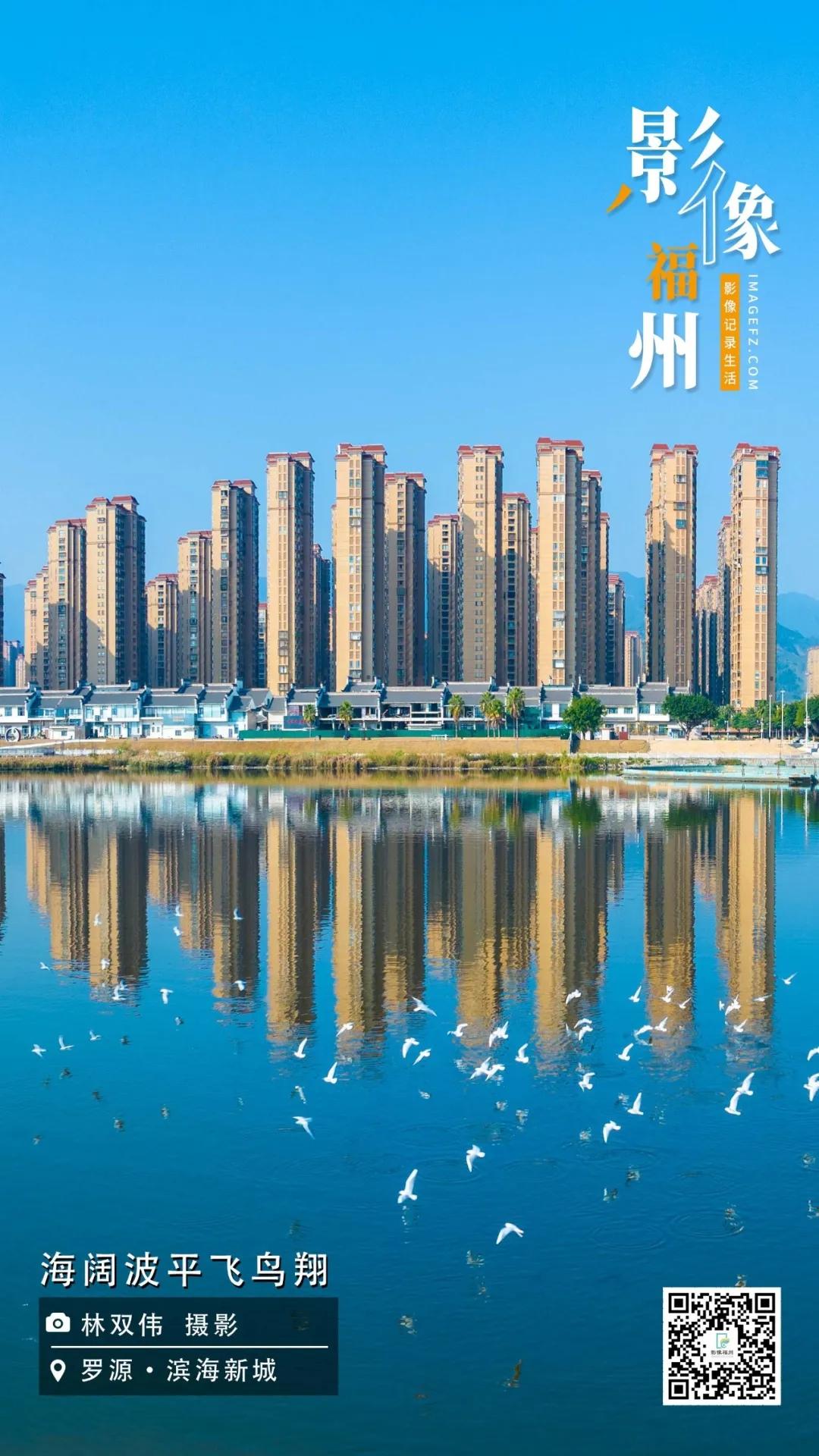 影像福州丨海阔波平飞鸟翔