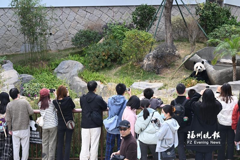 超给力！地铁公交免费还不够？福州春节还有这些惊喜……