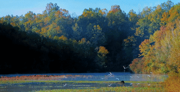 微视频｜守护“地球之肾”