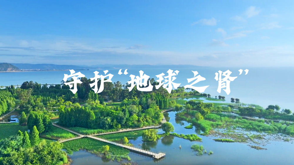 微视频｜守护“地球之肾”