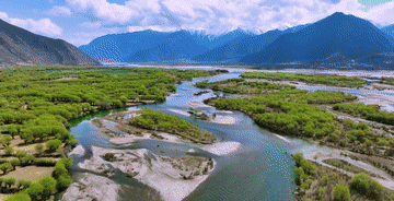 微视频｜守护“地球之肾”