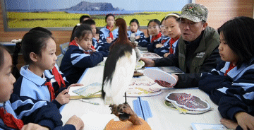 微视频｜守护“地球之肾”