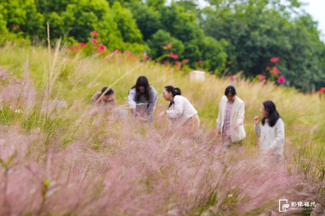看，福州湿地美成多彩调色盘！