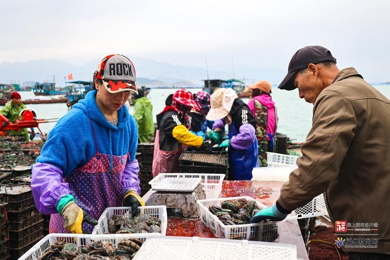 ​在连江，吃透“一粒鲍”需要几步？