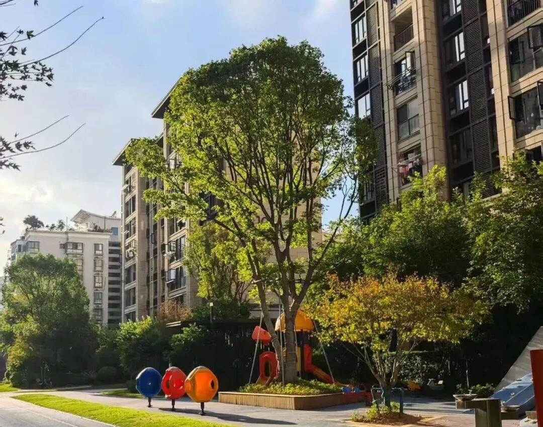 过山车！福州直冲25℃！新一波冷空气又要来了！