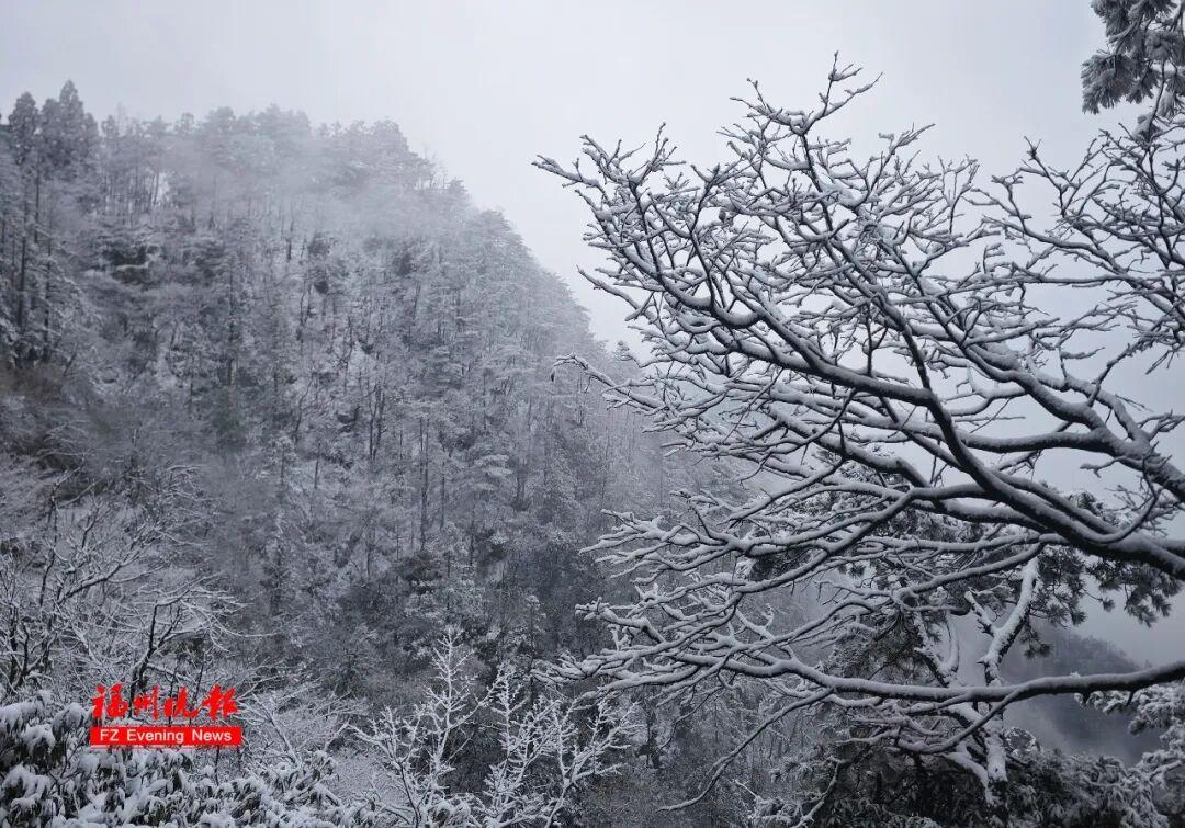 福州男孩发烧到39.1℃！他去东北见到雪太兴奋，吃了几口……