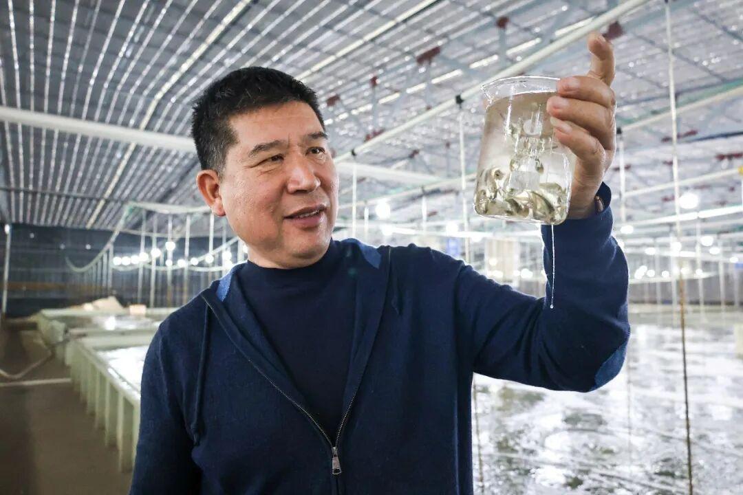 福州年夜饭必备美味！大量上市