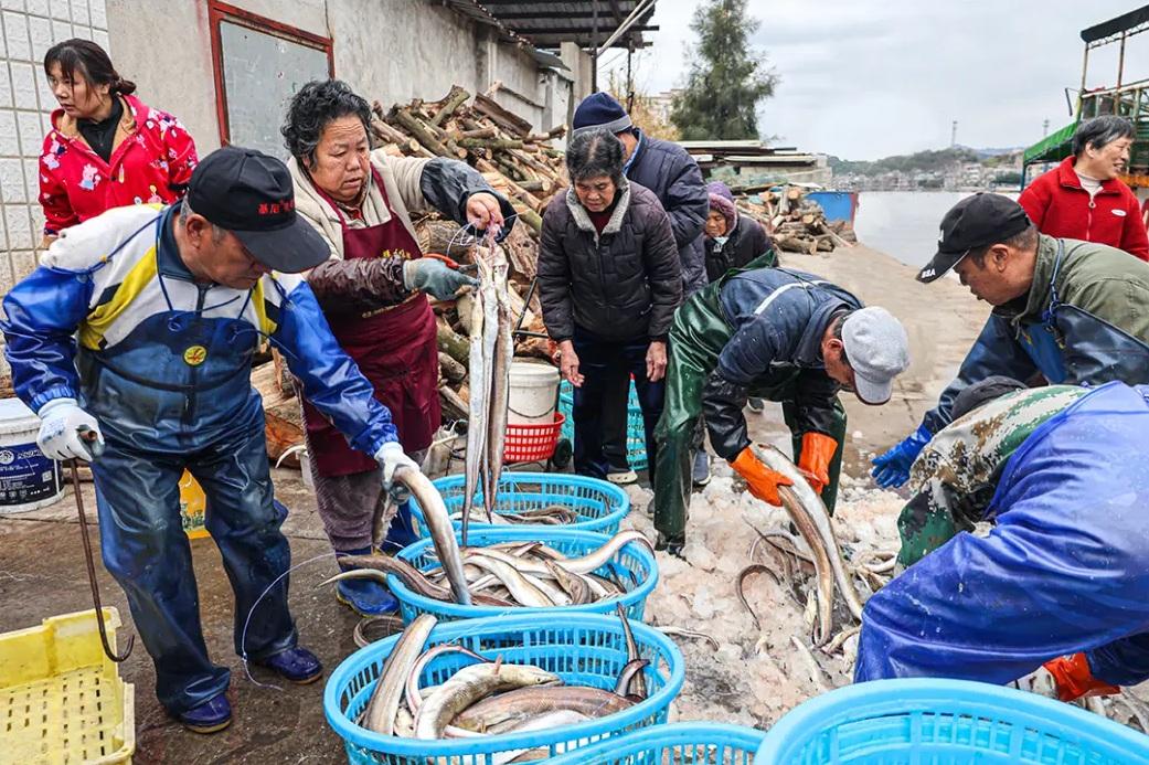 福州年夜饭必备美味！大量上市