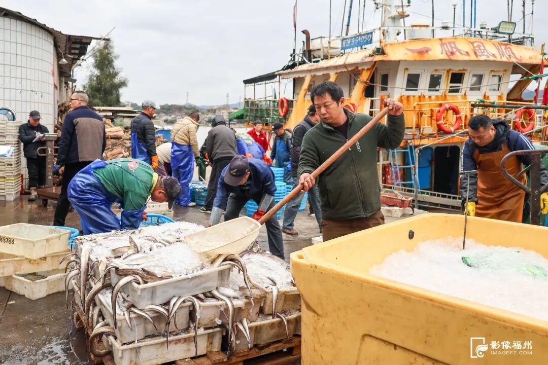 福州年夜饭必备美味！大量上市