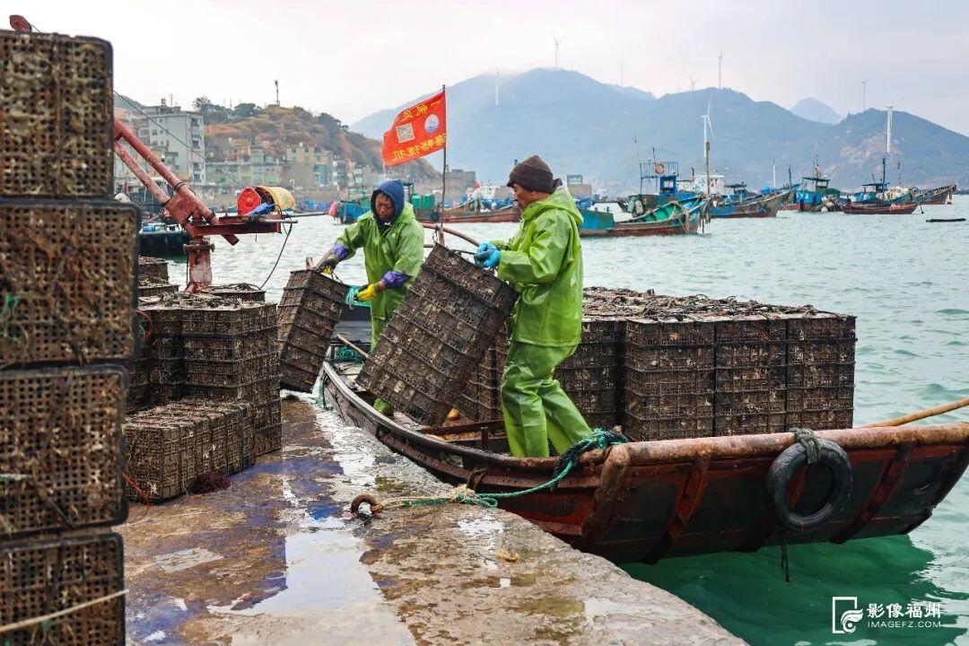 福州年夜饭必备美味！大量上市