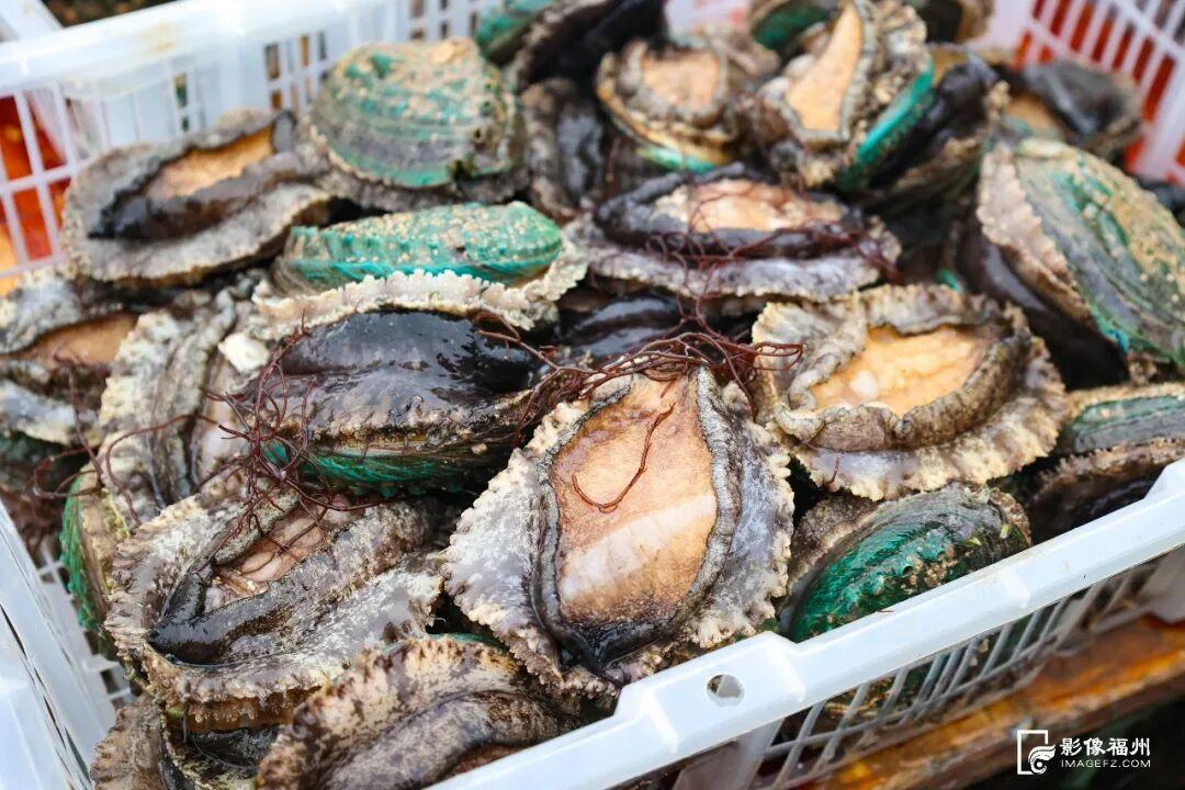 福州年夜饭必备美味！大量上市