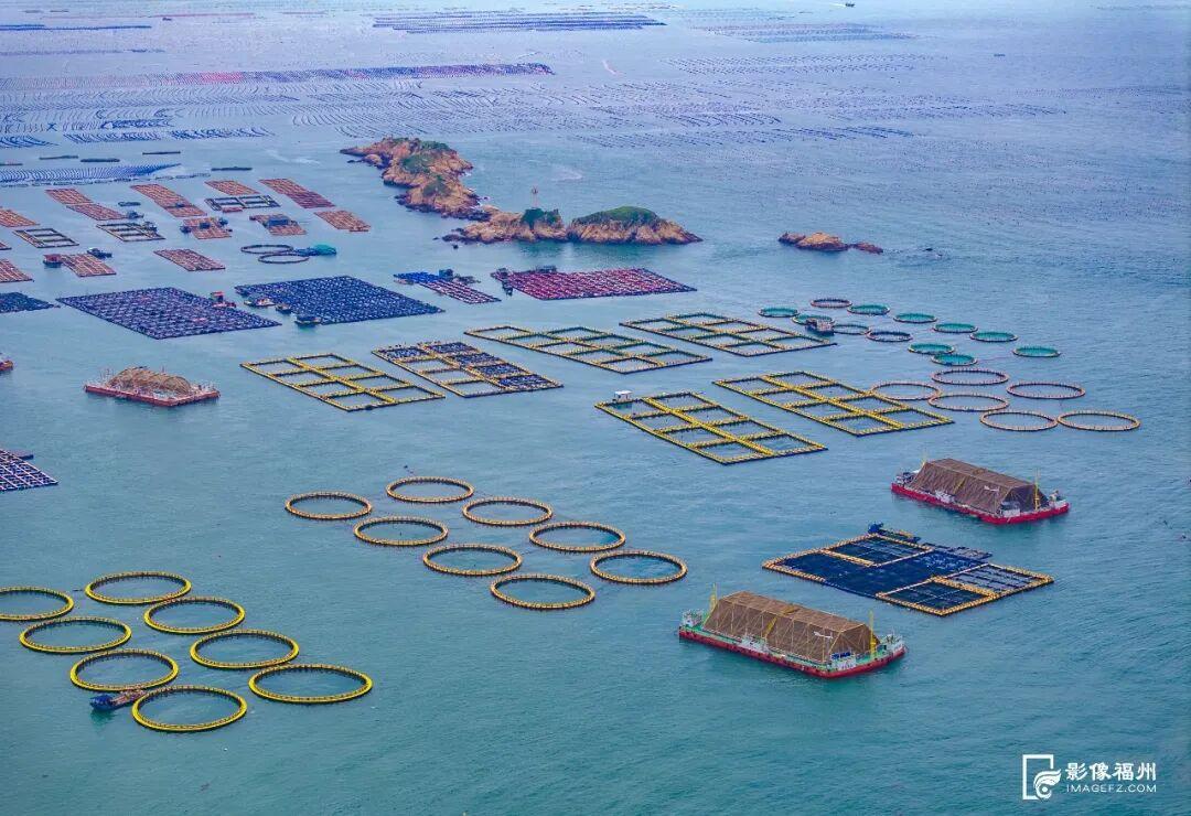 福州年夜饭必备美味！大量上市