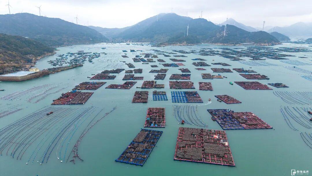 福州年夜饭必备美味！大量上市