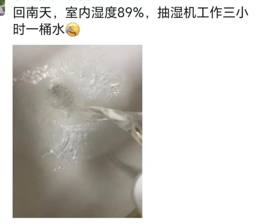 26.6℃！福州官宣入春！回南天要来了！记得关窗