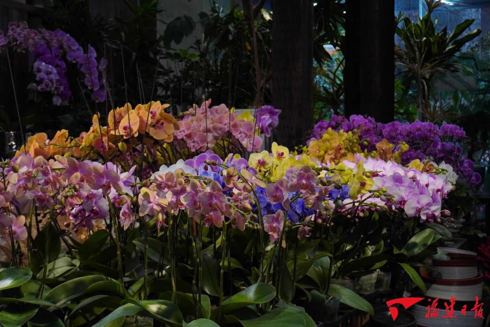 “爱你老己”激起一池消费春水