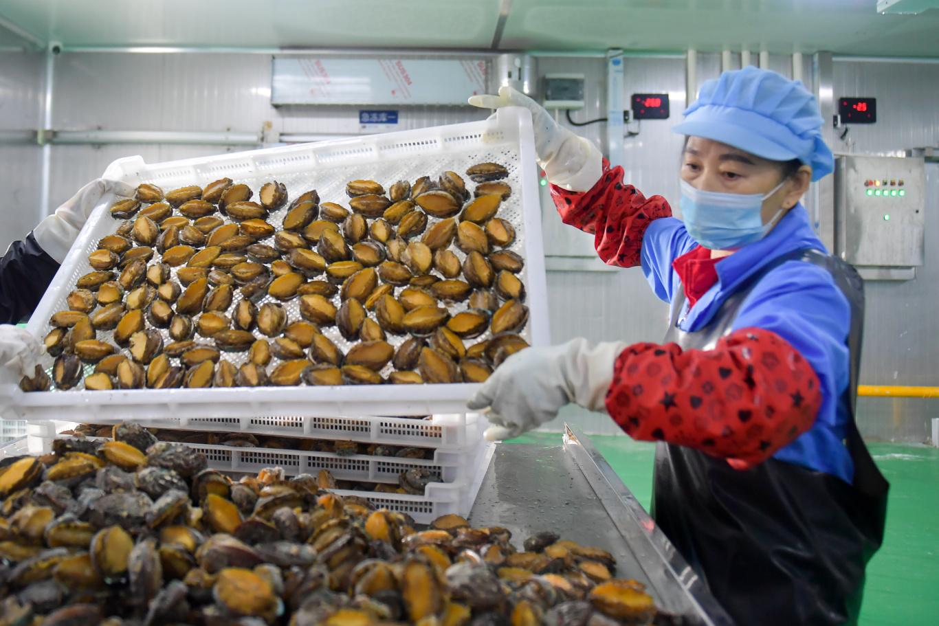 新春走基层 | 福州这个小县，凭啥打造千亿产业？