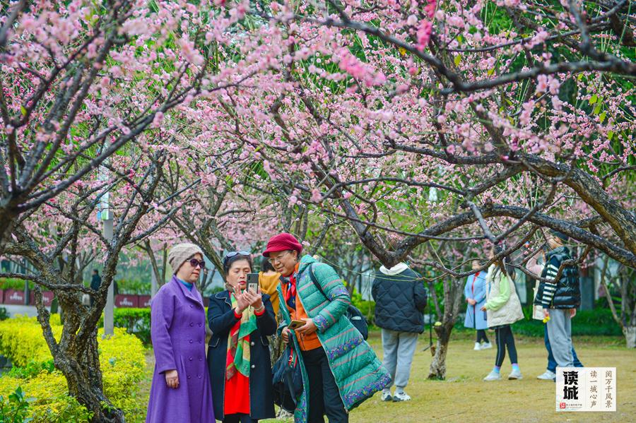 读城｜西湖秋千椅上线 这个游园雅趣在福州流传千年
