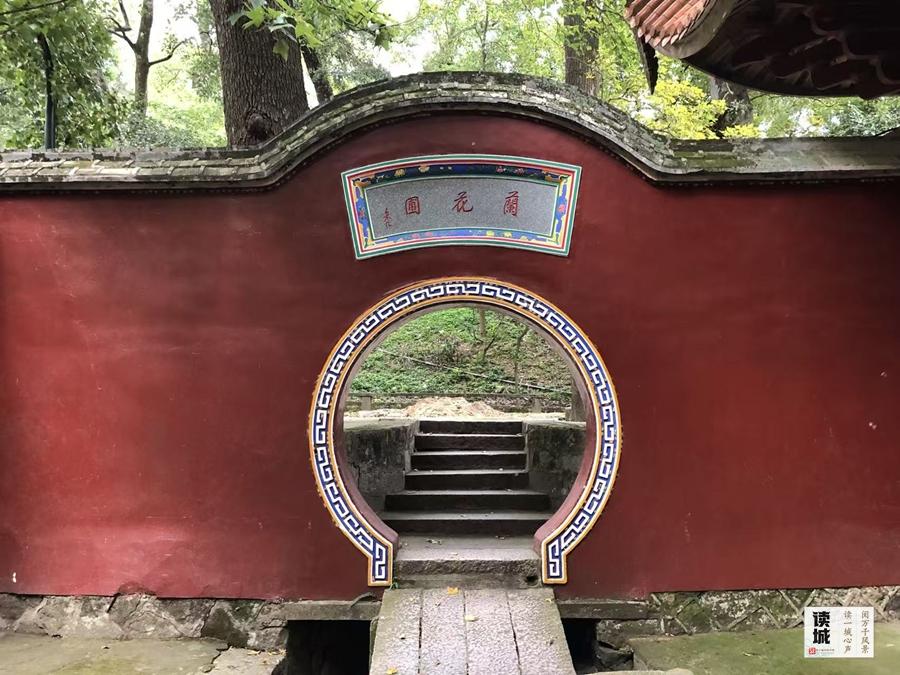 读城｜幽兰贺岁21年不缺席！福州于山兰花展正月初一开幕