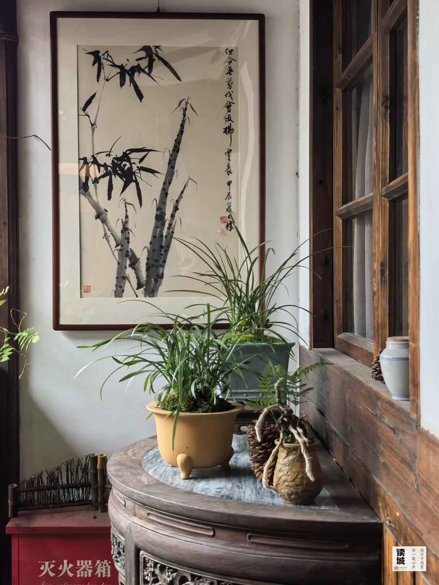 读城｜幽兰贺岁21年不缺席！福州于山兰花展正月初一开幕