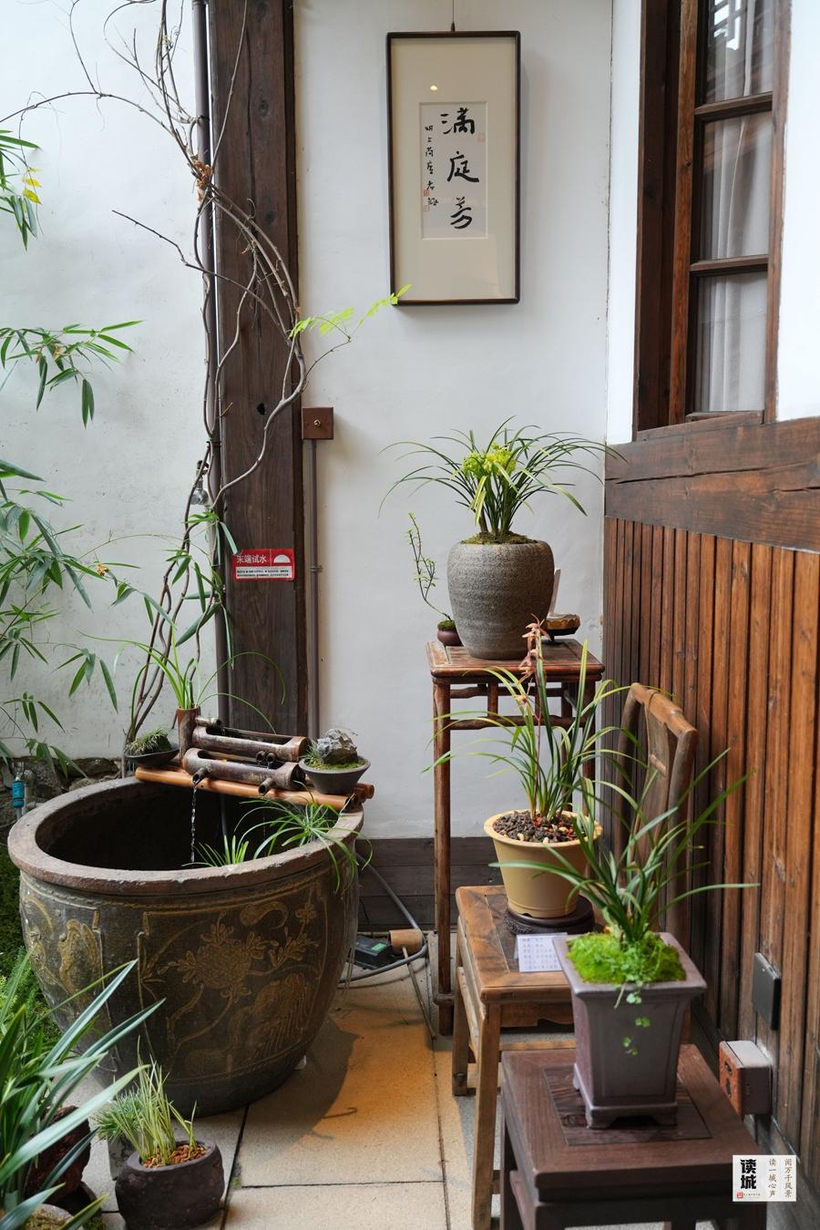 读城｜幽兰贺岁21年不缺席！福州于山兰花展正月初一开幕